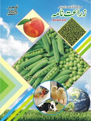 Zarat Nama November 2025